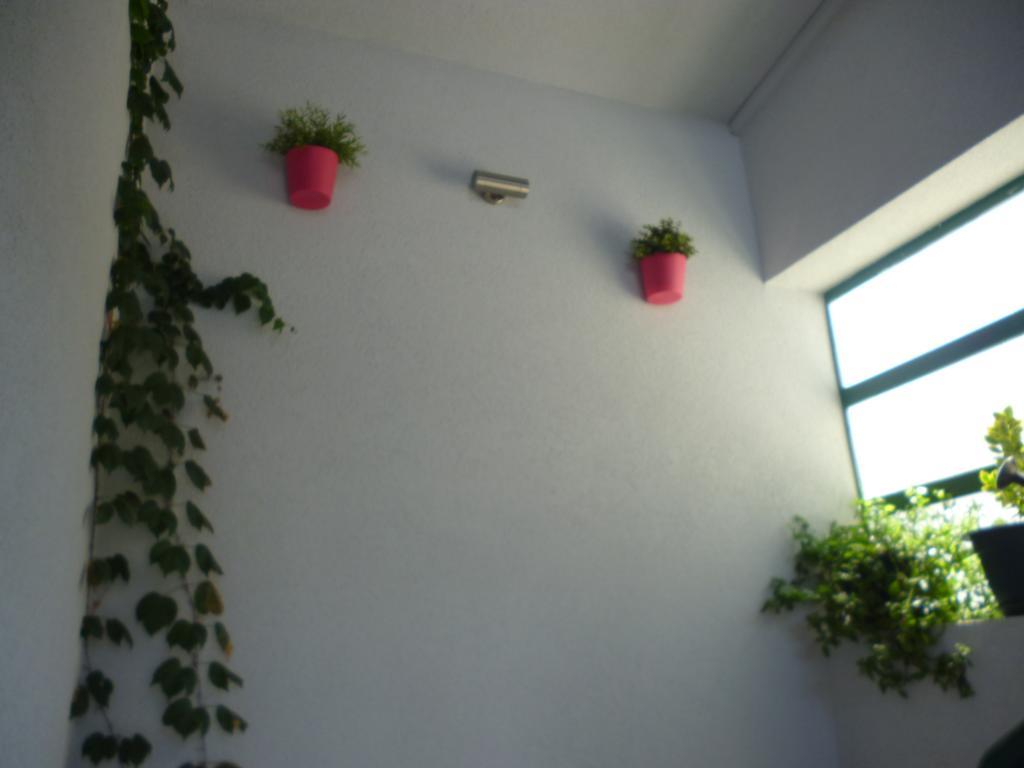 Apartamento Duje *